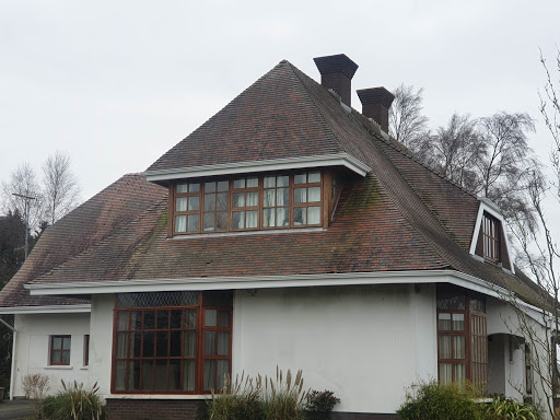 AF1QipOi0VigQ2Y-G68Dar6HsnSZ8wU3Pd_n7hD0b_FJ=s512