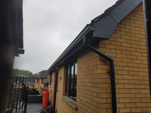 AF1QipOqCDyBDgV54HGThwtl2V0MfLBB_roXalQFRIbu=s512