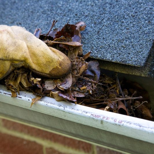 Gutter Clean Gutter Clean